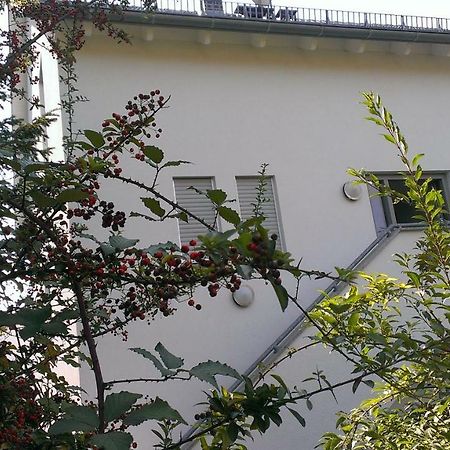 Petite Bellevue II Apartment Баден-Баден Екстериор снимка