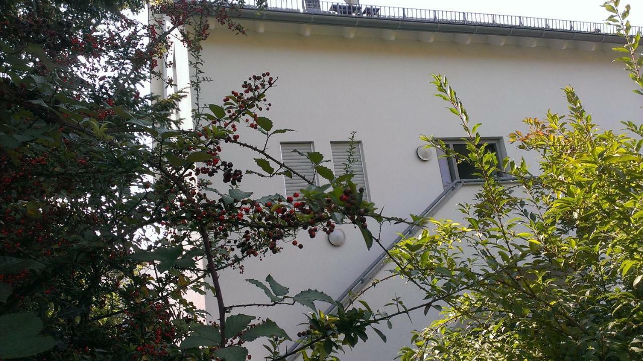 Petite Bellevue II Apartment Баден-Баден Екстериор снимка